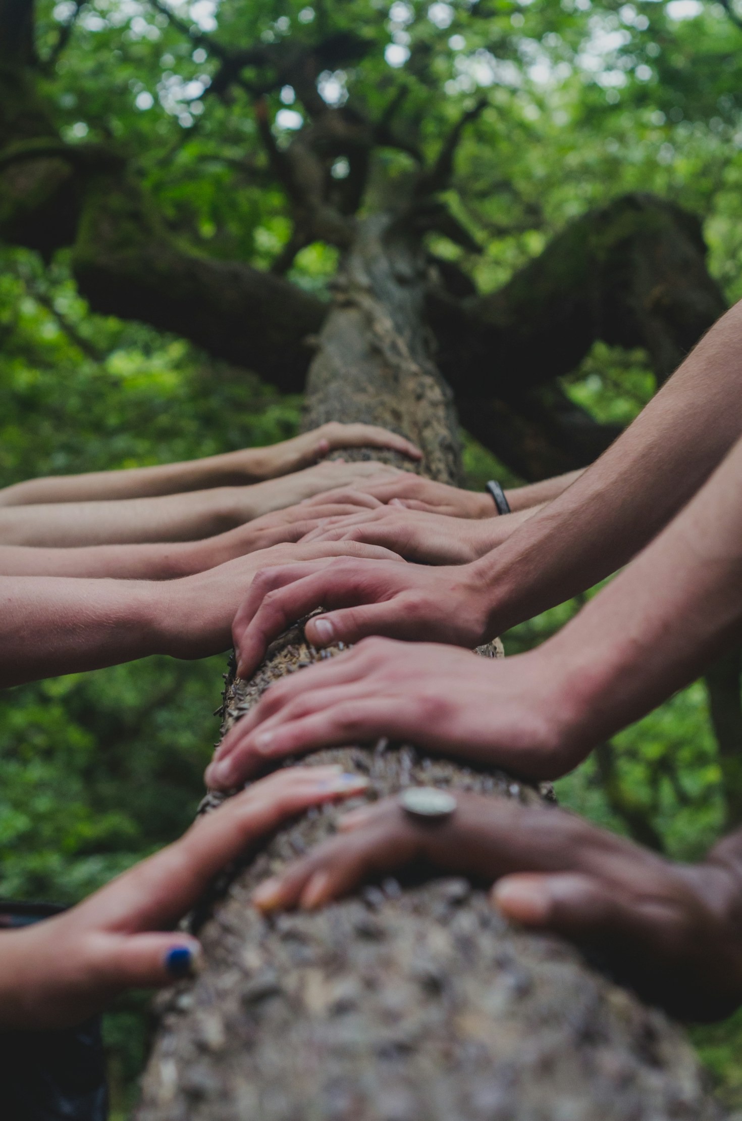 Empowering Change: Lessons From Successful Initiatives